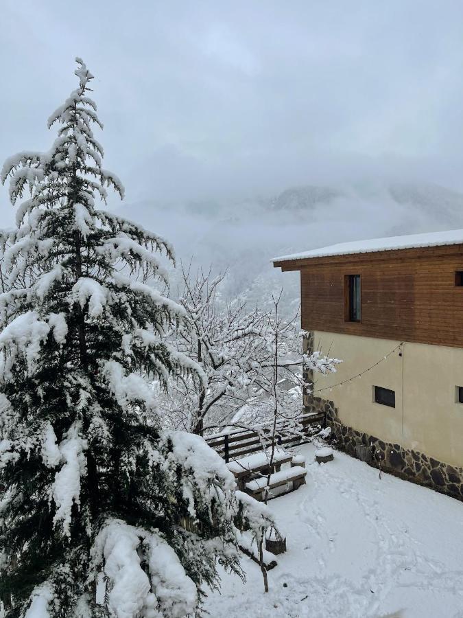 Guest House On Meskheti Borjomi Exterior photo
