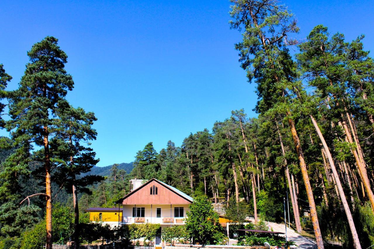 Guest House On Meskheti Borjomi Exterior photo